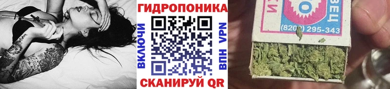 Сколько стоит Гусев Канабис  А ПВП  COCAIN  ГАШИШ  Мефедрон 
