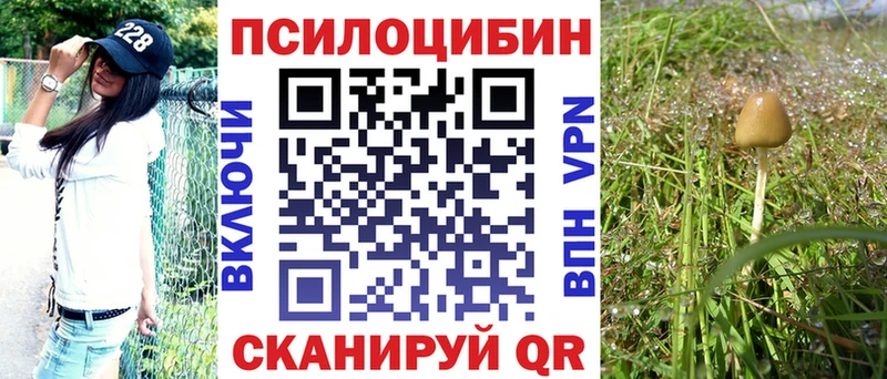 Галлюциногенные грибы мицелий  блэк спрут вход  Гусев 