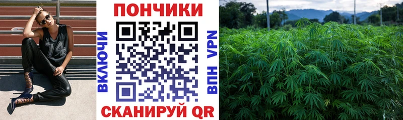 Конопля OG Kush  купить наркоту  Гусев 